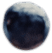 berry5.png