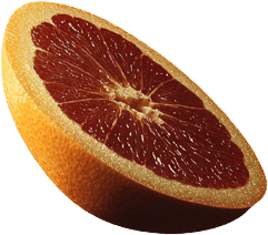 citrus1.png