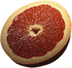 citrus2.png