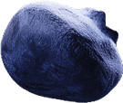 n-berry3.png