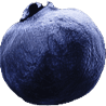 n-berry5.png