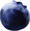 n-berry6.png