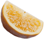 orange4.png